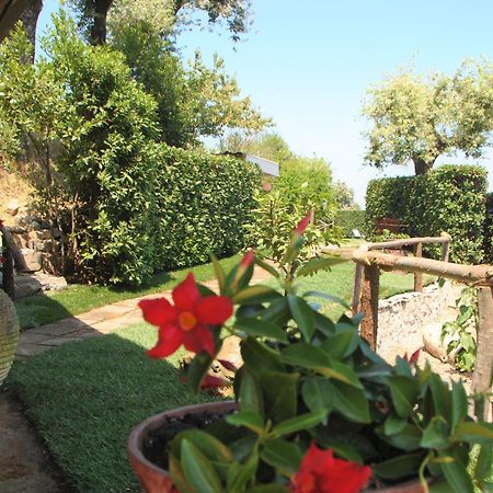 Villa La Ventana Sant'Agnello Dış mekan fotoğraf